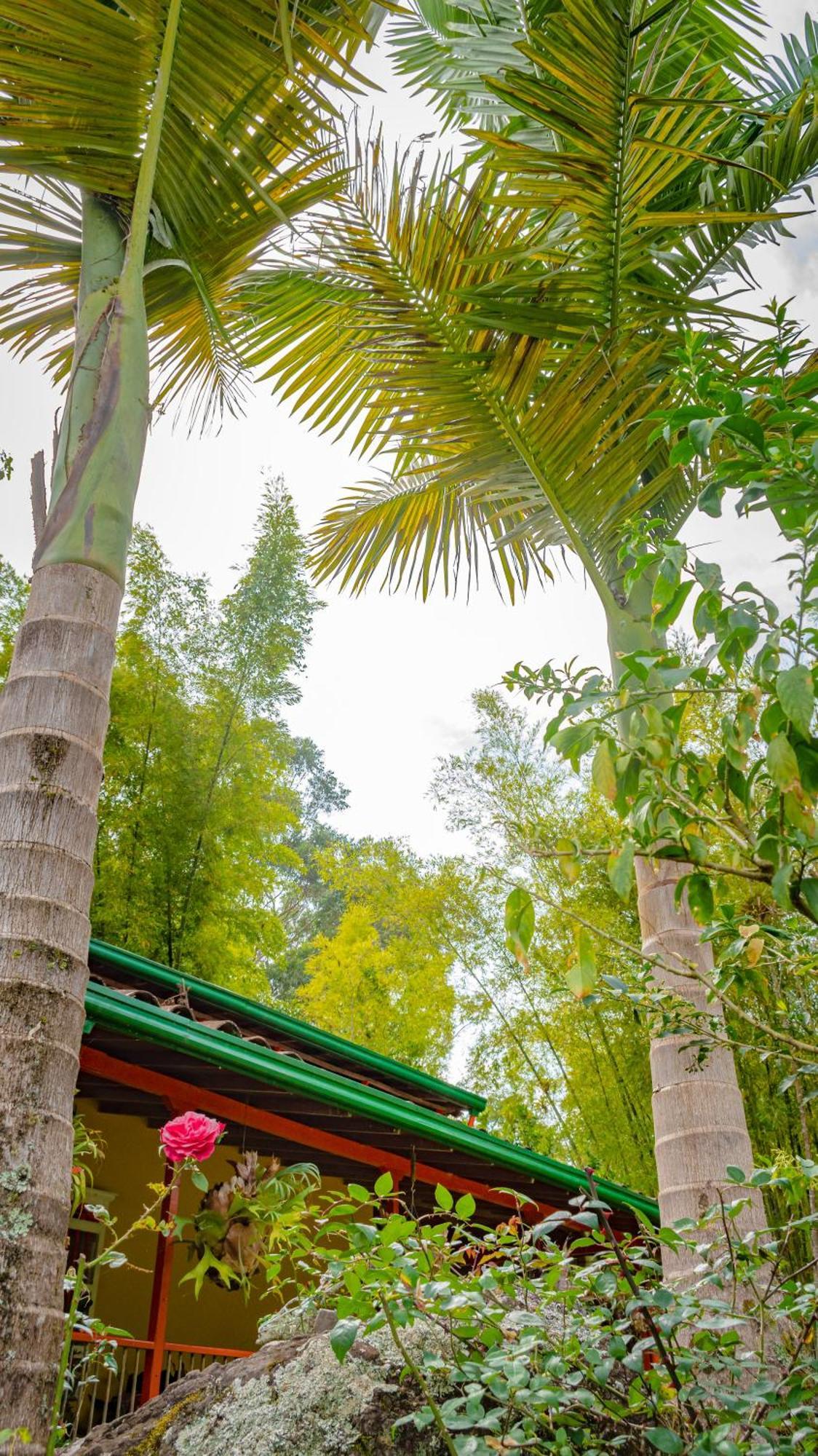 Kantarrana Casa De Campo Jardín Eksteriør billede
